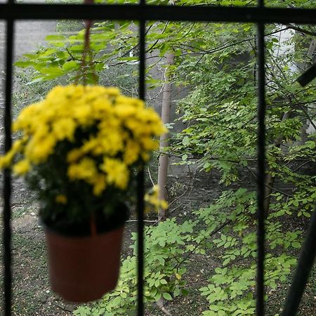 Natalie'S Place Beograd Bagian luar foto